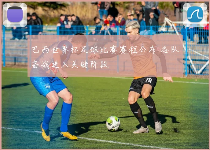 巴西世界杯足球比赛赛程公布 各队备战进入关键阶段